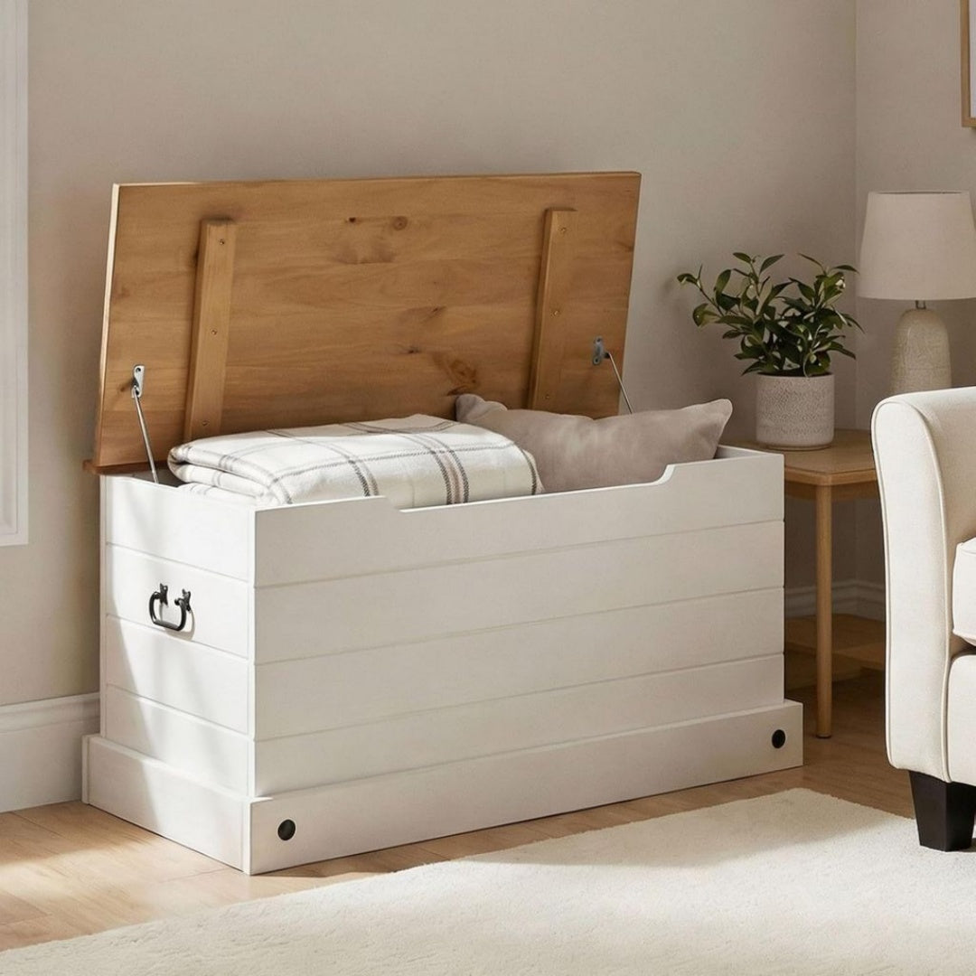 Coffre de Rangement Design Contemporain et elegant