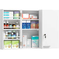 Armoire Suspendue Murale Format 30 x 18 x 50 cm, en Metal